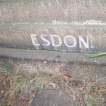 ESDON