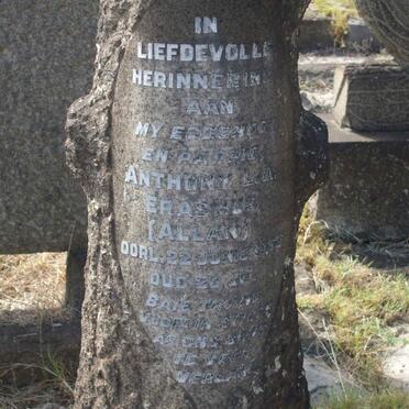 ERASMUS Anthony ? ?-?