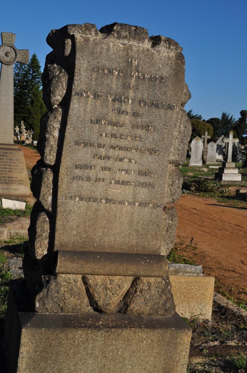 FERN Annie Mary Crallan 1863-1919