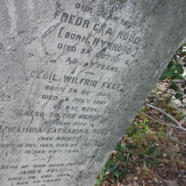 FELIX :: ROODT :: RYNHOUD