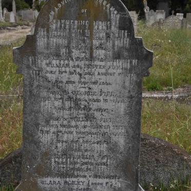 FIFE George -1904 &amp; Catherine MOYCE -1901 :: FIFE William -1906 &amp; Hester Julia SAMUELS -1931