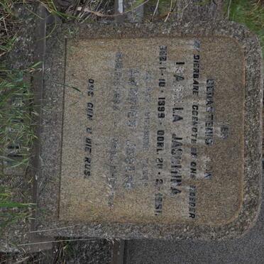 FONTINI Andries Joseph 1885-1962 &amp; Isabella Jacomina 1898-1961
