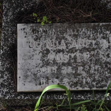 FOSTER William Charles 1880-1956 &amp; Margaret Letitia McCALDIN 18?0-1950