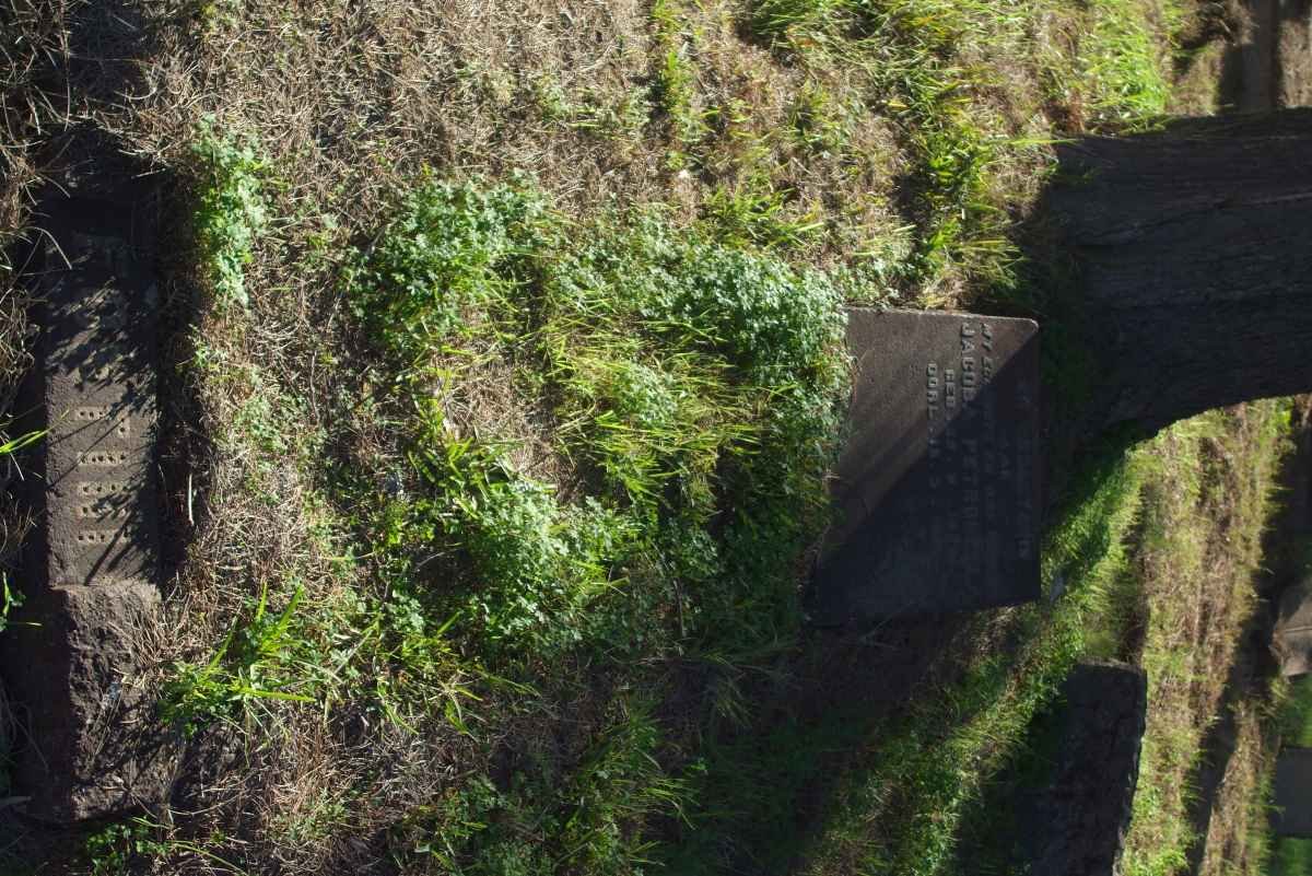 FONTINI Jacoba Petronella 1872-1937