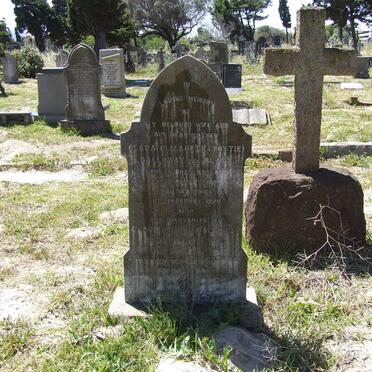 GALLOWAY Andries Brink 1877-1941 &amp; Clara Elizabeth BLAKE 1885-1929 :: CHEGWYN Thelma Isabel nee GALLOWAY 1907-1958