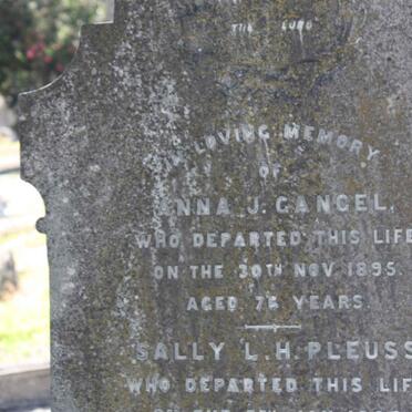 GANGEL :: PLEUSS :: JANGEL 