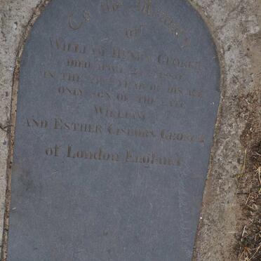 GEORGE William Henry -1880