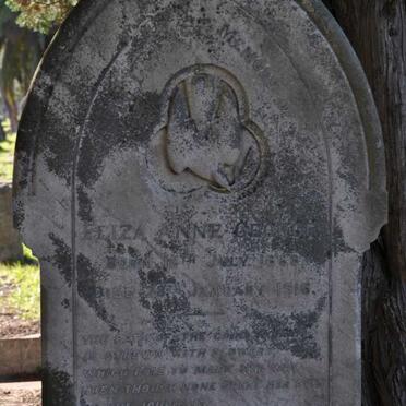 GEORGE Eliza Anne 1868-1916