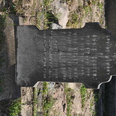 GEATER Arthur George -1935 :: GEATER Annie -1924 :: GEATER Violet May -1901