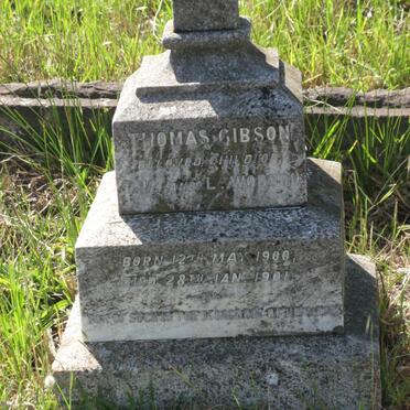 GIBSON Thomas 1900-1901