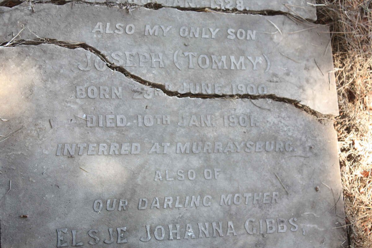 GIBBS Joseph 1900-1902