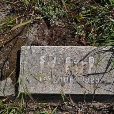 GOLD S.J. -1929