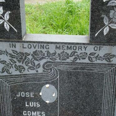GOMES Jose Luis 1952-1986
