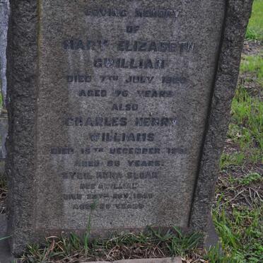 Gw - surnames starting with the letters Gw