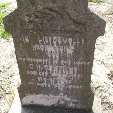 GRIFFITHS C.H. -1931