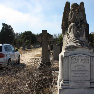 GROENEWALD Cornelius Nicolaas 1878-1948 &amp; Catharina LE ROUX -1937 :: GROENEWALD Cornelis -1916