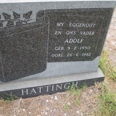 HATTINGH Adolf 1950-1982