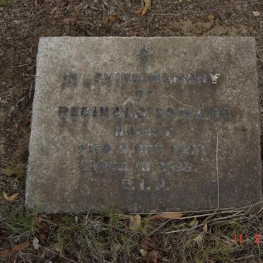 HAUPT Reginald Edward -1923