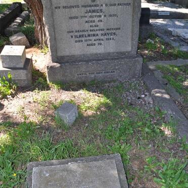 HAYES James -1936 &amp; Wilhelmina -1953 :: ? Sydney :: MARTIN ?
