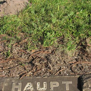 HAUPT