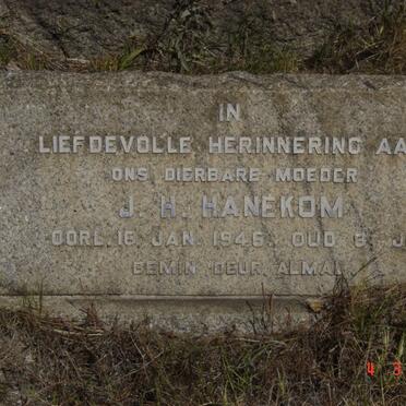 HANEKOM J.H. -1946