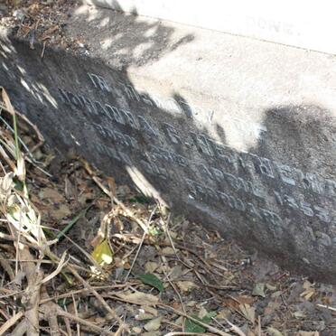 HEYNEMAN Johanna G. 1853-1927