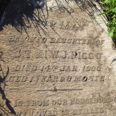 HIGGO Ivy May -1900 :: HIGGO James T. -1931