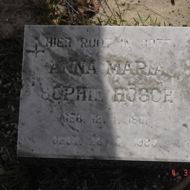 HOSCH Anna Maria Sophie 1901-1983