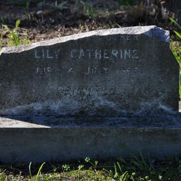 HOWES Lily Catherine -1969