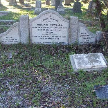 HOWELLS :: McNAUGHTON :: PURWITSKY