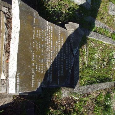 HUTTON Jessie Muriel -1893 :: HUTTON Charlotte Ethel -1894 :: HUTTON Ellen Marie 1902-1903