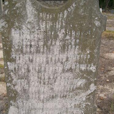 HUBUERT Carl August 1849-1937 &amp;  Elizabeth SARBACH 1857-1933 :: HUBUERT Emilie Wilhelmine 1880-1899