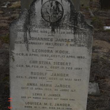 JANDER :: KOCH :: SIEBERT