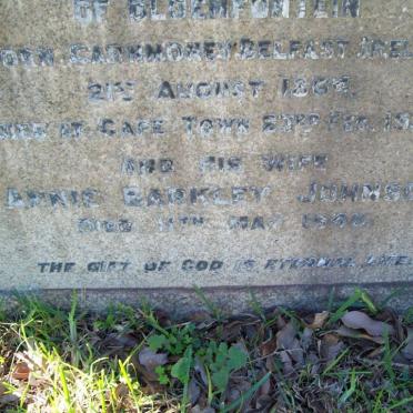 JOHNSON William Smyth 1864-1929 &amp; Annie Barclay -1948