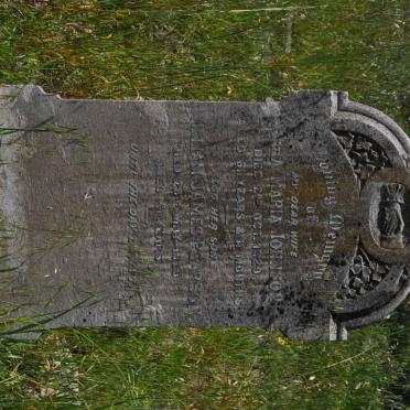 JOHNSON ? Maria -1929 :: PEARSON William James -1929