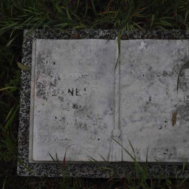 JUPP Alfred Ernest &amp; Bertha Ethel :: JUPP Alfred John