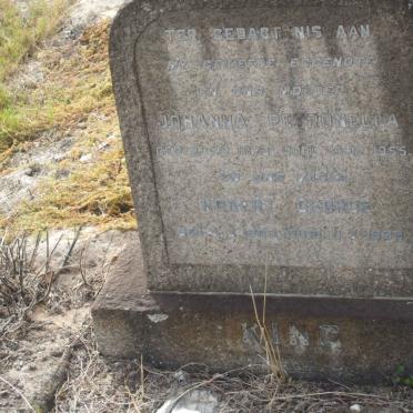 KING Robert George 18??-1962 &amp; Johanna Petronella 1873-1955