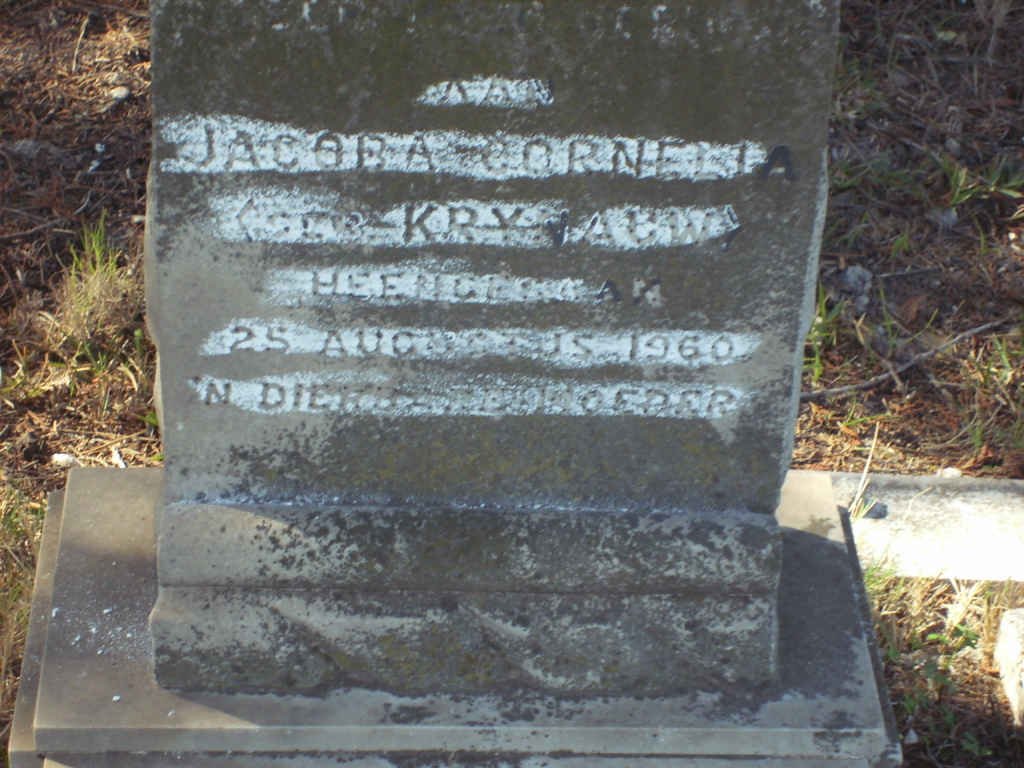 KRYNAUW Jacoba Cornelia nee KRYNAUW -1960