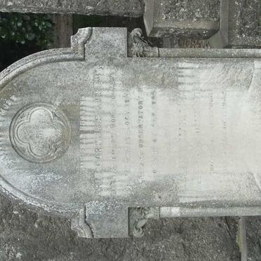 LASEUR Arie Cornelis 1851-1899 &amp; Elizabeth Maria VAN BLOMMENSTEIN 1864-1942