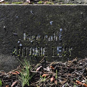LEVY Antonie