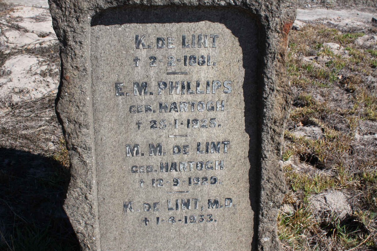 LINT DE :: PHILLIPS :: HARTOGH