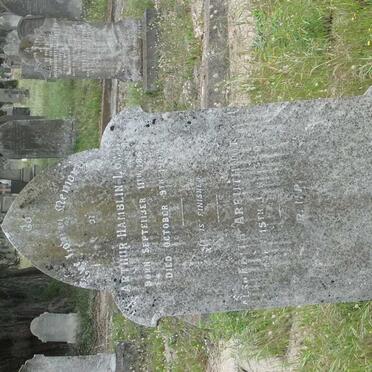 LOWN Arthur Hamblin 1860-1904 &amp; Edith Arbuthnot -1940