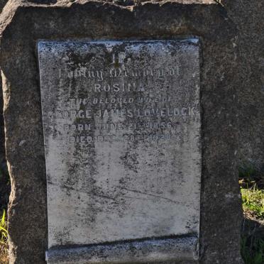 LOVELOCK Rosina 1856-1928