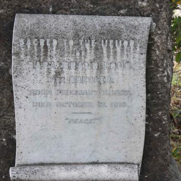 LONG Sara Brand nee BRESLER 1827-1910