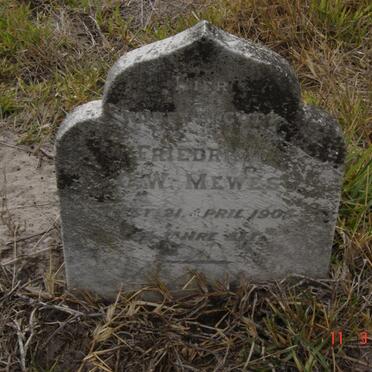 MEWES Friedrich C.W. -1905