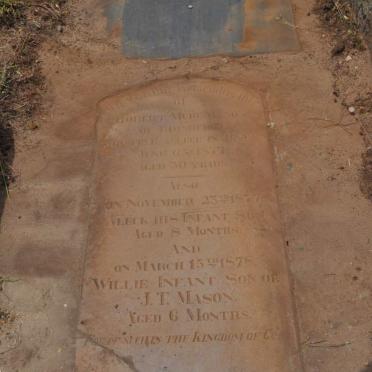 MASON Robert Muir -1877 :: MASON Aleck -1877 :: MASON Willie -1878