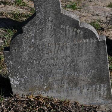 MADDEN Margaret Susan 1850-1928 :: MADDEN Laurence Loveday 1887-1912