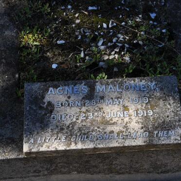 MALONEY Agnes 1919-1919