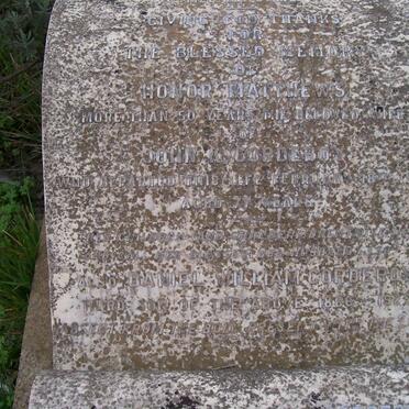 MATTHEWS Honor -1906 :: CORDEROY Daniel William 1866-1927