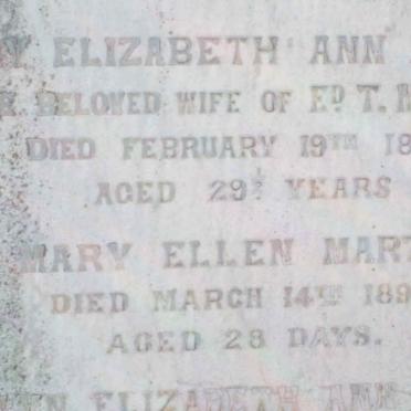 MARTIN Mary Elizabeth Ann -1897 :: MARTIN Mary Ellen -1897